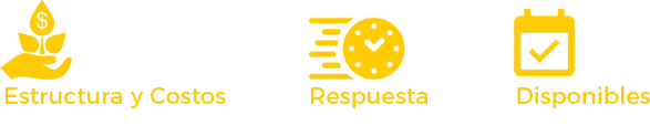 Estructura y costos competitivos, respuesta inmediata y disponibles todo el año